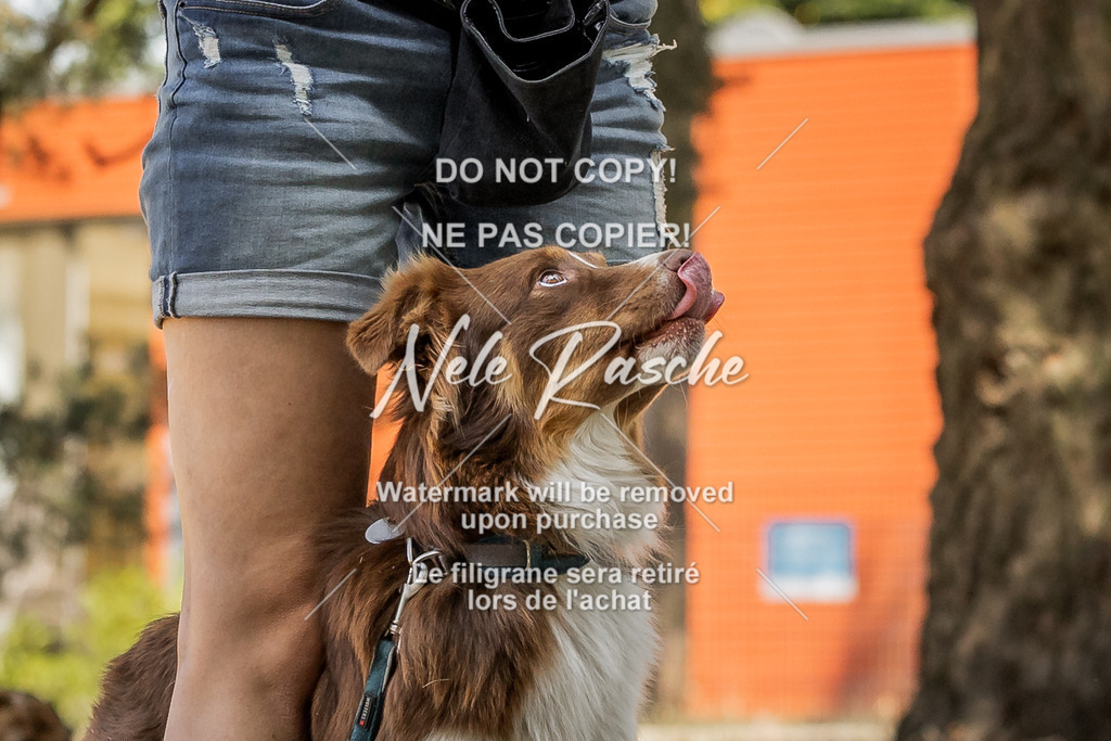 nelerasche_soDD3_133 | nelerasche