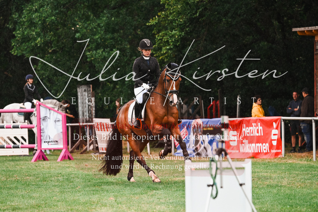 DSC_6609 | Pferde- und Turnierfotografie in Westsachsen. Pferdeportraits, Auftragszeichnungen und intuitive Kunst.