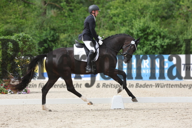 Weilheim_2024_Prfg.Nr.15_Reitpferdeprfg_3-jähr_Stuten u.Wallache_Thomas Königer_Secret_s Black Pearl (5) | Alle Fotos der Reiterjournal Fotografin Doris Matthaes im Reiterjournal Online-Fotoshop. - Realizado com Pictrs.com