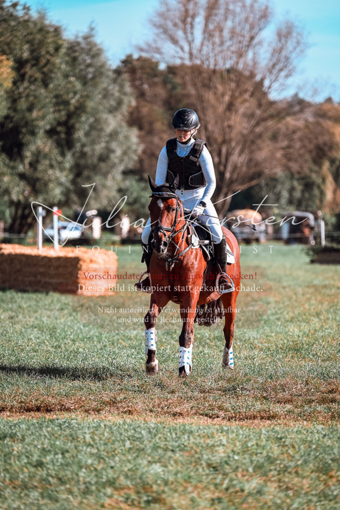 DSC_0626 | Pferde- und Turnierfotografie in Westsachsen. Pferdeportraits, Auftragszeichnungen und intuitive Kunst.