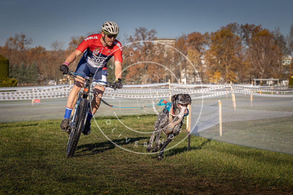 CaniXpix_0L8A4466 | Hundefotografie, Tierfotograf, Pfotenfotografie, Fotoshooting Hund, Hunde Portrait, Hundesport, Hundeportraits, Heideshooting, Hunde, Sportfotograf, Hundefotograf, Turnierhundsport, THS,  - Realisiert mit Pictrs.com