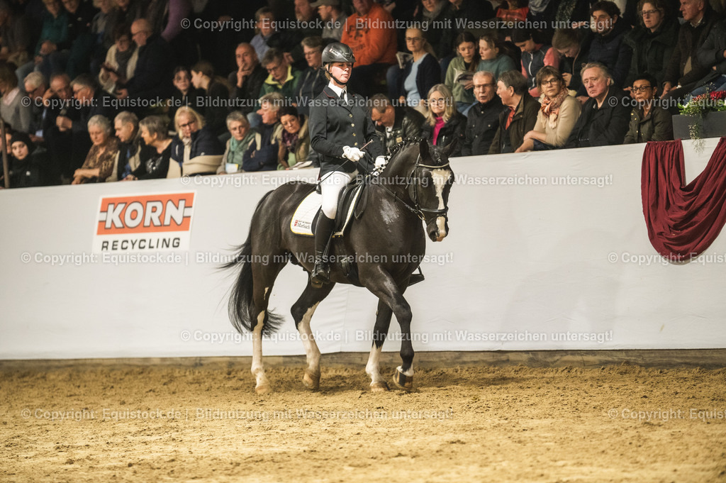 20240302_Hengstvorstellung_Marbach_TOMsPiC_0729-2 | equistock