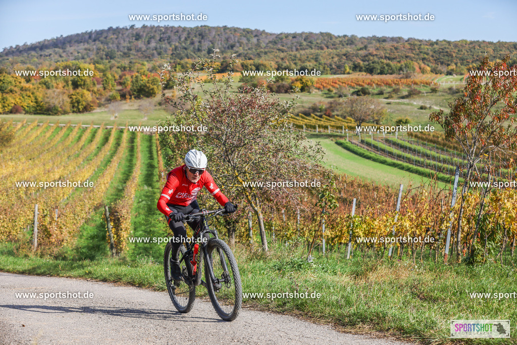007A5934 | PANNONIA GRAVEL 2025 #pannoniagravel #gravel #offroad #onroad #burgenland #neusiedlersee #nrm #neusiedlerseeradmarathon #yourpictrs #sportshot_your_pictrs @Sportshot Photography www.sportshot.de