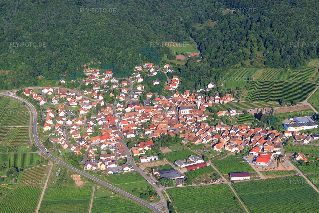 Luftbild: Winzerdorf von Osten in Eschbach im Bundesland Rheinland-Pfalz in Deutschland. Foto: IMG_30928.jpg vom 07.08.2010 durch Werner Riehm/FLY-FOTO.de