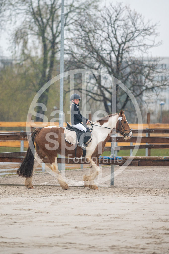 DSC_2639 | sattelsport - Realisiert mit Pictrs.com