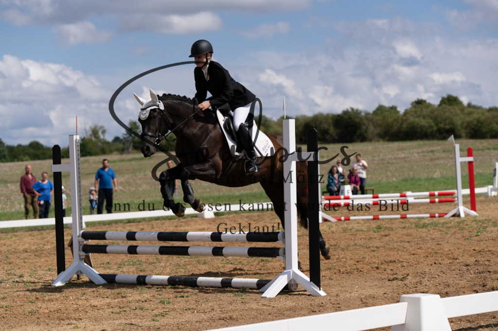 A7V03189 | Pferdefotograf