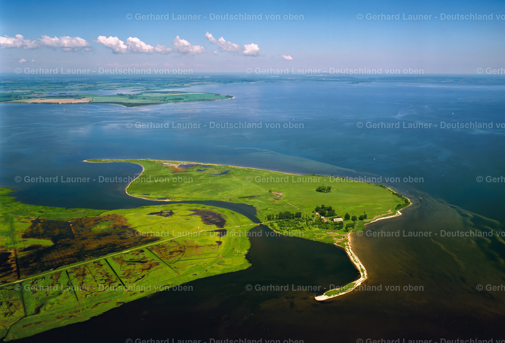 2216187 | GREIFSWALD 08.09.2021 Uferbereiche der See- Insel Koos und Naturschutzgebiet im Greifswalder Bodden in Greifswald im Bundesland Mecklenburg-Vorpommern, Deutschland. // Lake Island Koos and Naturschutzgebiet in Greifswalder Bodden in Greifswald in the state Mecklenburg - Western Pomerania, Germany. Foto: Gerhard Launer