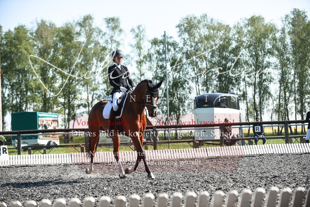 DSC_8656 | Pferde- und Turnierfotografie in Westsachsen. Pferdeportraits, Auftragszeichnungen und intuitive Kunst.