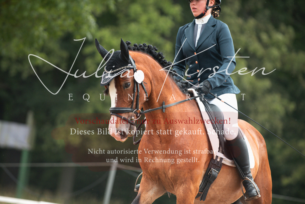DSC_9829 | Pferde- und Turnierfotografie in Westsachsen. Pferdeportraits, Auftragszeichnungen und intuitive Kunst.