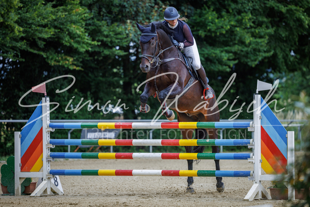 20260705-_3LI6471 | Tierfotografie Pferde, Hunde, Katzen, Haustiere.
Turnierfotografie Reitturniere, Reiten, Springreiten, Dressur in Hanau, dem Main-Kinzig-Kreis und dem Rhein-Main- Gebiet um Frankfurt