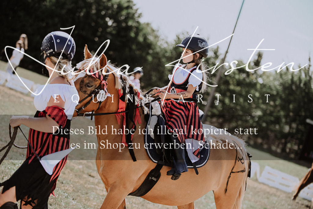 DSC_9041 | Pferde- und Turnierfotografie in Westsachsen. Pferdeportraits, Auftragszeichnungen und intuitive Kunst.