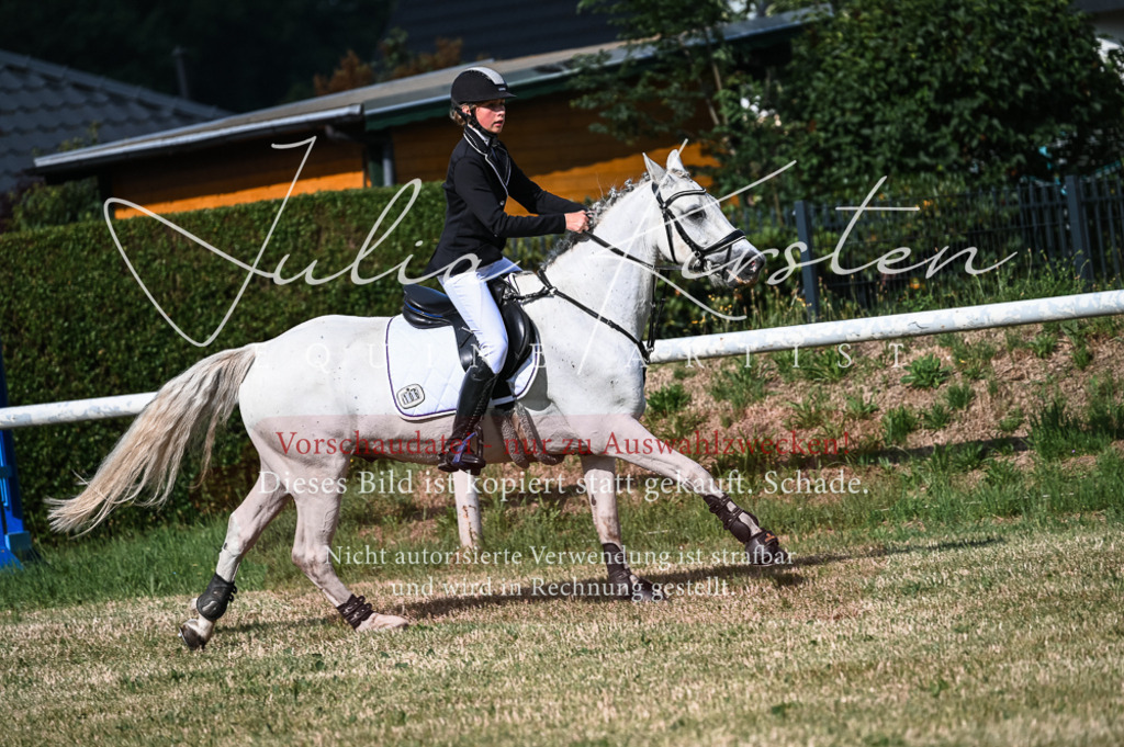 DSC_7714 | Pferde- und Turnierfotografie in Westsachsen. Pferdeportraits, Auftragszeichnungen und intuitive Kunst.
