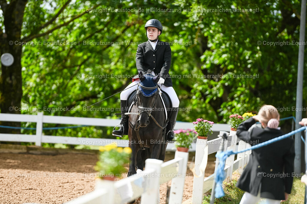 20230716_10-1_Reiter-WB Schritt - Trab - Galopp_0165 | equistock