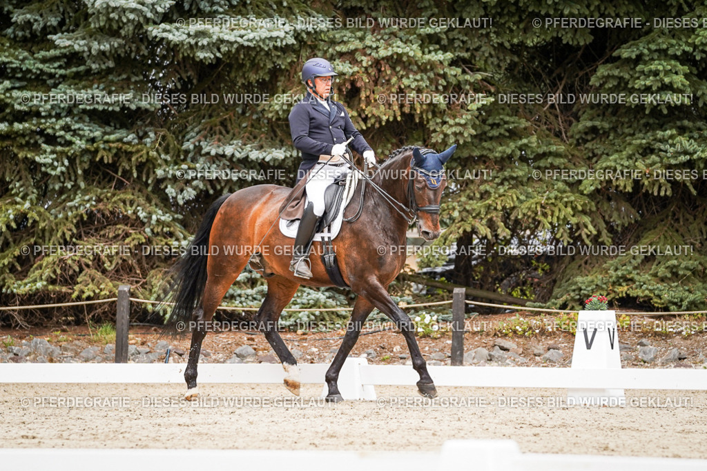 DSC05004 | Pferdegrafie