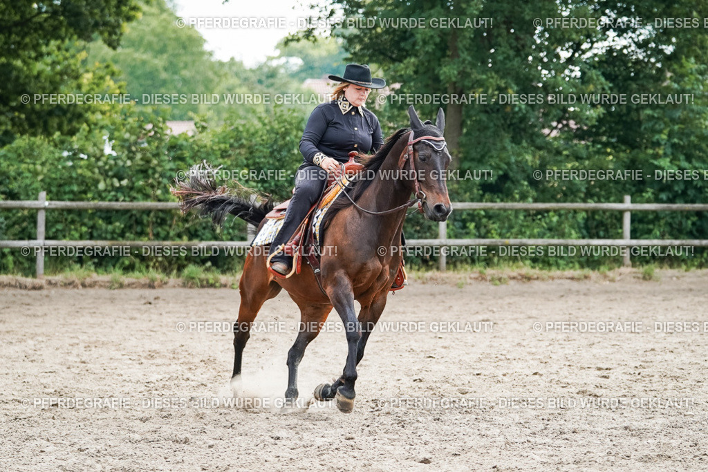 DSC04577 | Pferdegrafie