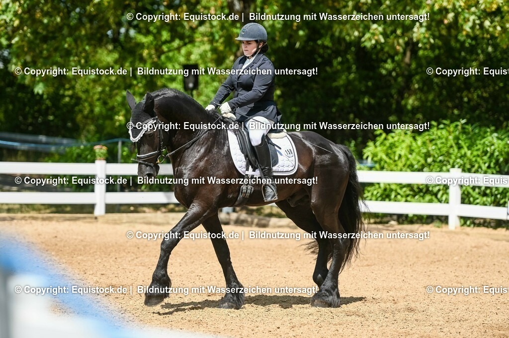 20230715_02_Dressurreiterprüfung Kl.L_0175 | equistock