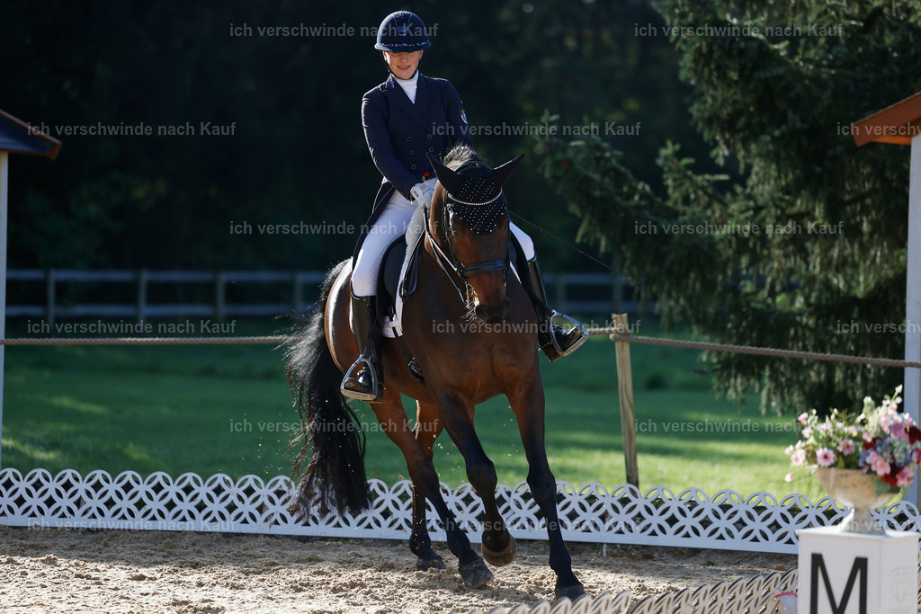 09_1-155-DRESSUR  S_  -StoibPH-5581 | working equitationturnier fotograf videograf stoibphotography marixx film working equitation deutschland reitsport turnierfotografie eventfotografie equestrian events