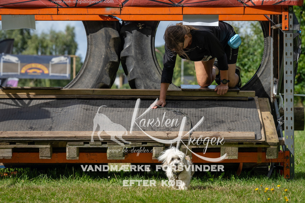 1543_ZZ94007 | kk-dogfotos