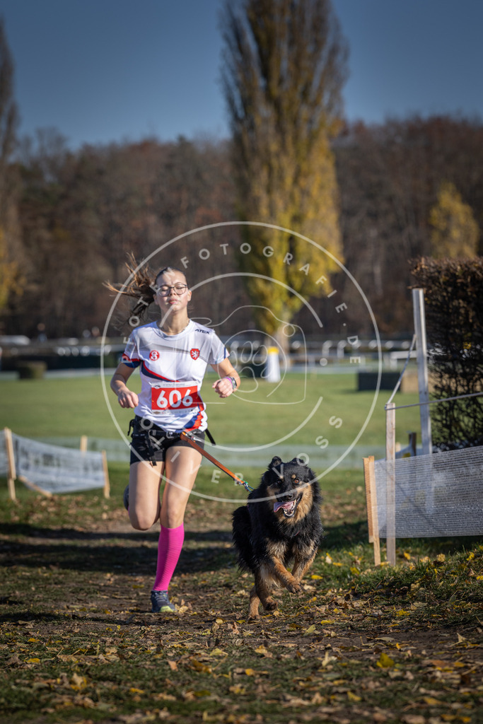 CaniXpix_DV3A9635 | Hundefotografie, Tierfotograf, Pfotenfotografie, Fotoshooting Hund, Hunde Portrait, Hundesport, Hundeportraits, Heideshooting, Hunde, Sportfotograf, Hundefotograf, Turnierhundsport, THS,  - Realisiert mit Pictrs.com