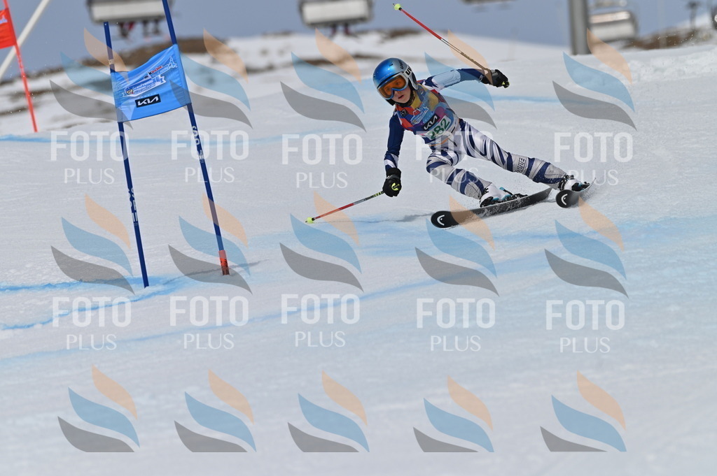 BGV_5607 | holidayphoto