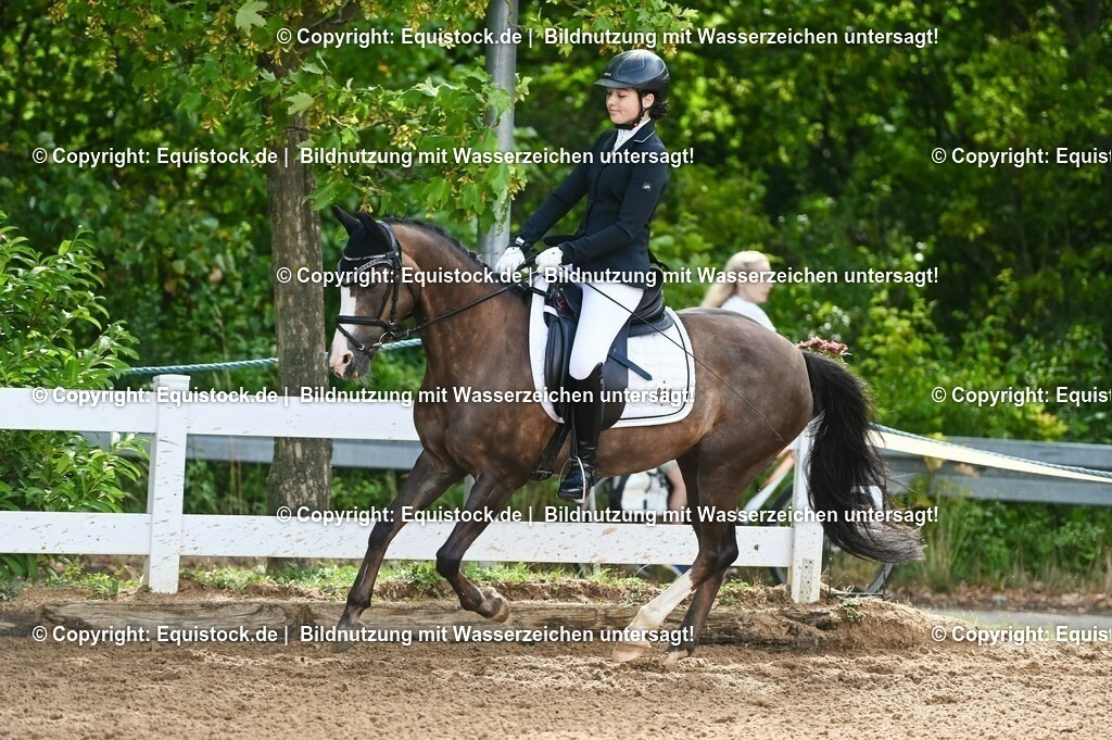 20230716_10-1_Reiter-WB Schritt - Trab - Galopp_0182 | equistock