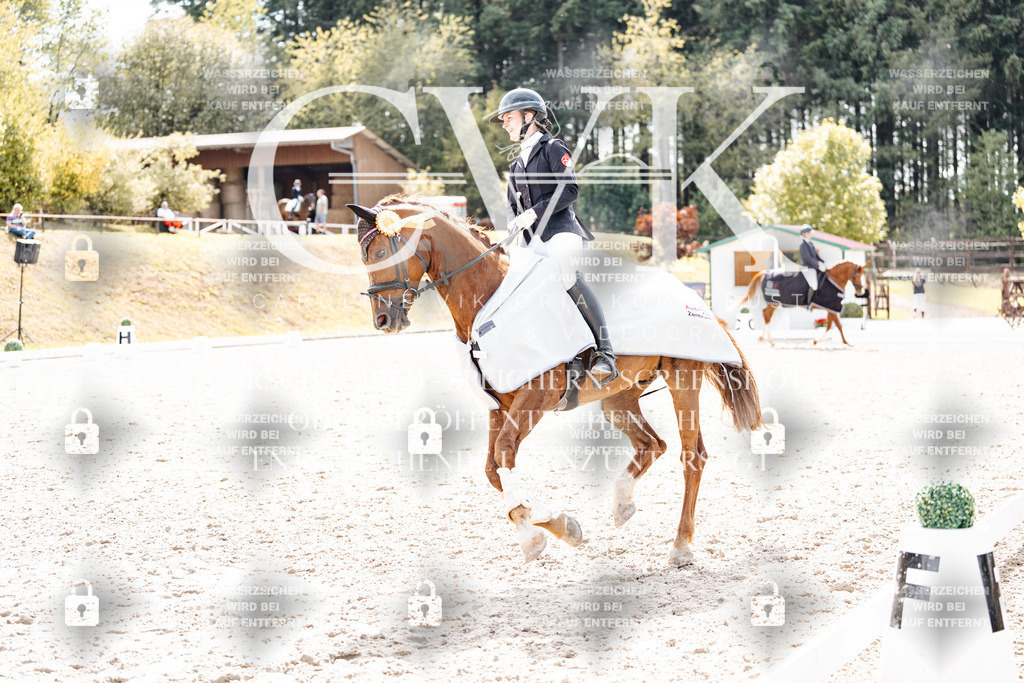 CK901009 | Turnierfotografie Pferdefotografie Trier Rheinland-Pfalz Pferdesport Reitsport Tierfotografie Sportfotografie Pferdevideo Pferdevideografie Equestrianvideography equestrianphotography  - Realisiert mit Pictrs.com