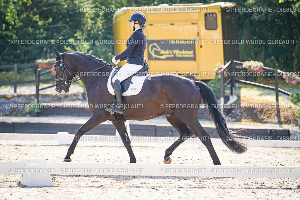 DSC09511 | Pferdegrafie