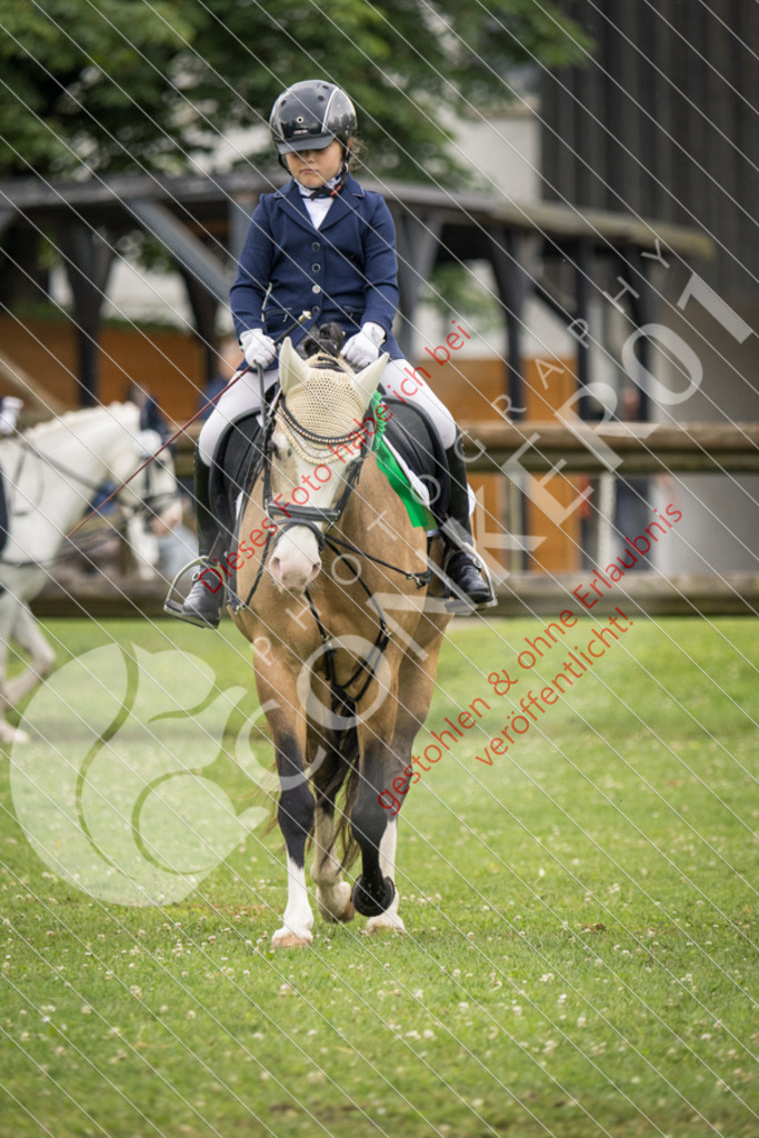 IMG_1992 | Sport-, Event- und Tierfotos in Profiqualität. Einfach auswählen, bestellen und herunterladen. Dein Moment – perfekt festgehalten.