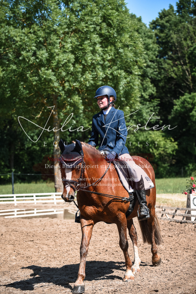 DSC_3559 | Pferde- und Turnierfotografie in Westsachsen. Pferdeportraits, Auftragszeichnungen und intuitive Kunst.