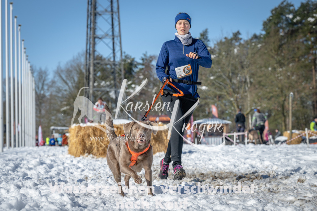 1107_ZZ90084-3 | kk-dogfotos