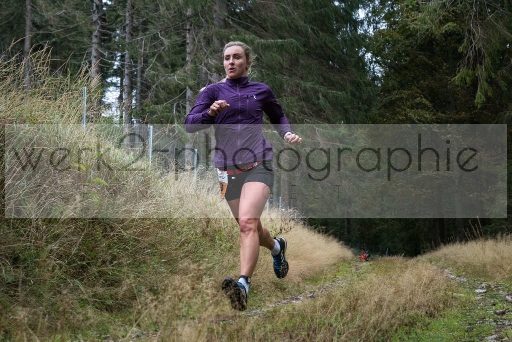 Herbstlauf | Neuhaus/Rwg. - Masserberg am 3. Oktober 2020