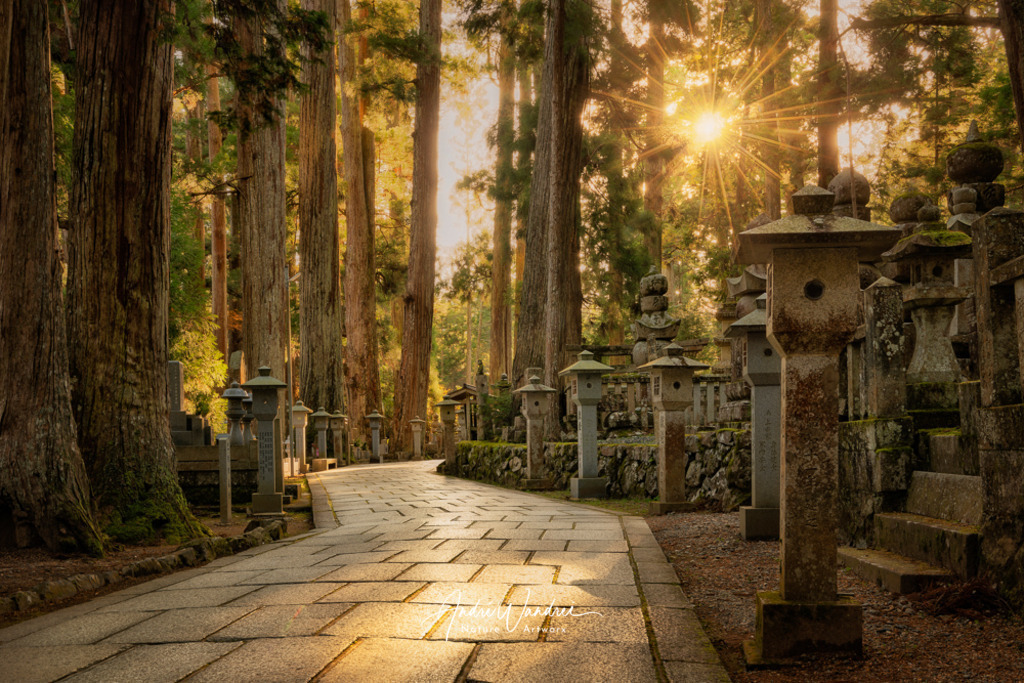 Abends auf dem Okunoin Friedhof | Andre Wandrei - Nature Artworx - Realisiert mit Pictrs.com