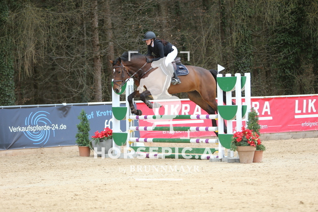 DL2Q9427 | Willkommen bei Brunnmayr - Design & Fotografie – Ihrem Spezialisten für Reitturniere und Pferdeveranstaltungen in Oberösterreich, Salzburg und Bayern! Seit über 17 Jahren sind wir leidenschaftlich dabei.