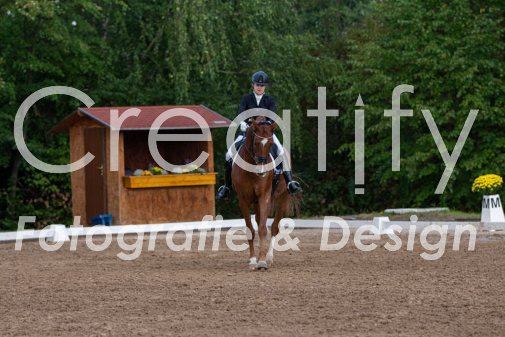 IMG_4213 | Creatify Fotografie