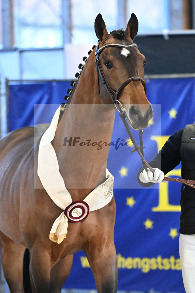 Chaplins Touch B_5250797 | hf-fotografie - Realisiert mit Pictrs.com