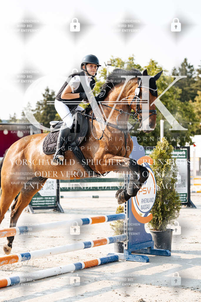 CK902713 | Turnierfotografie Pferdefotografie Trier Rheinland-Pfalz Pferdesport Reitsport Tierfotografie Sportfotografie Pferdevideo Pferdevideografie Equestrianvideography equestrianphotography  - Realisiert mit Pictrs.com