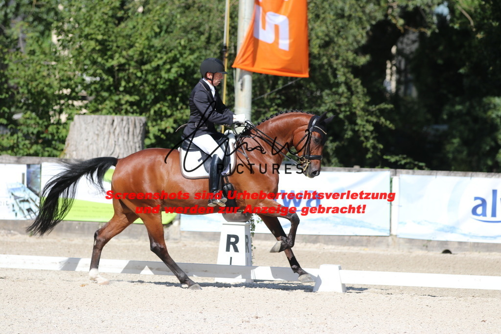 IMG_5509 | lmwpictures - Realisiert mit Pictrs.com