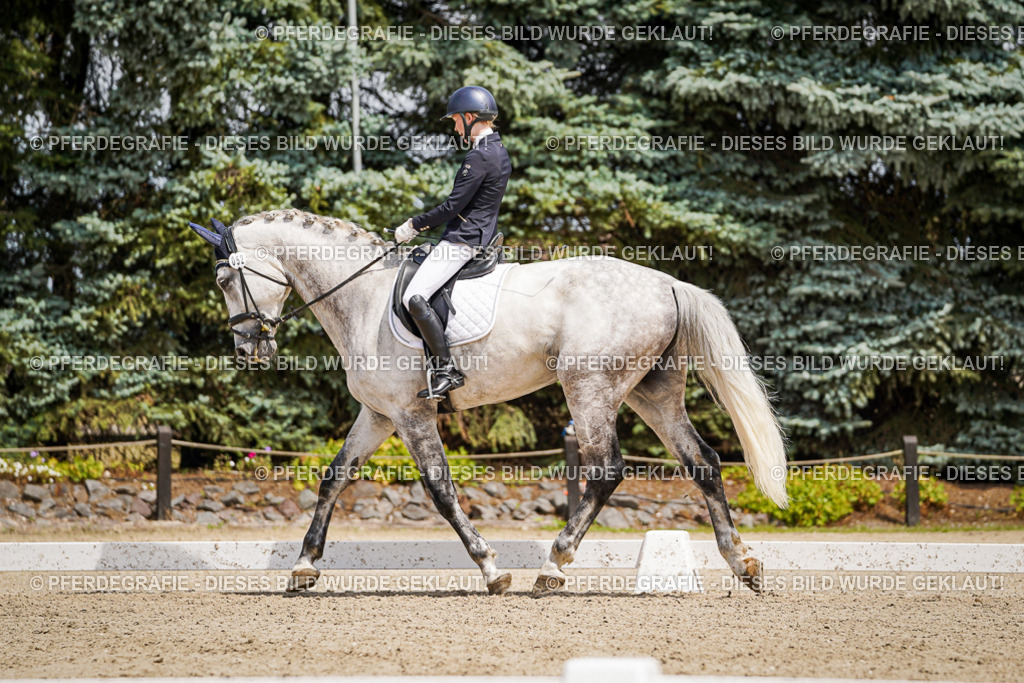 DSC02273 | Pferdegrafie