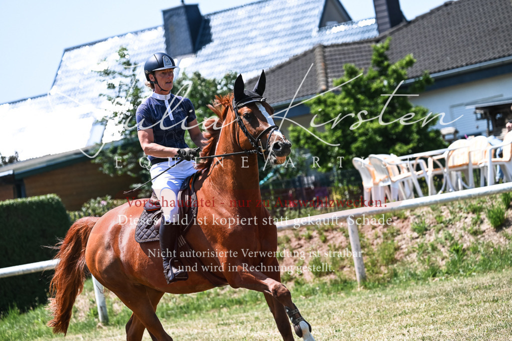 DSC_0134 | Pferde- und Turnierfotografie in Westsachsen. Pferdeportraits, Auftragszeichnungen und intuitive Kunst.