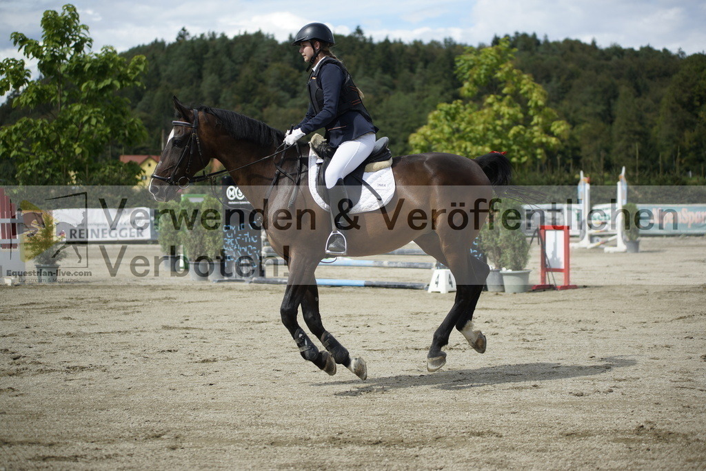 _DSC4312 | equestrian-live-com
