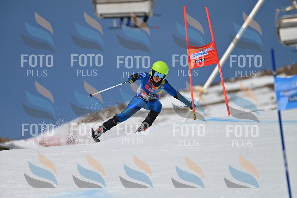 BGV_6589 | holidayphoto