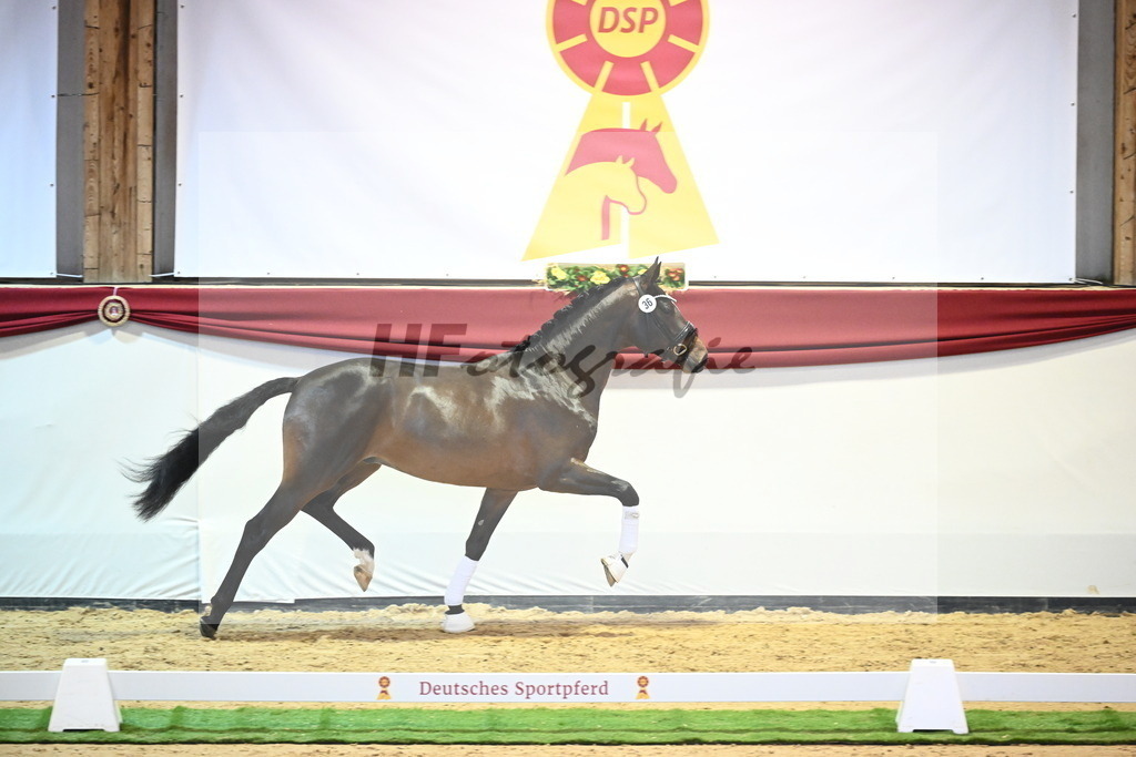 Kat.-Nr. 36 v. Bon Vivaldi_Kornes_2240378 | hf-fotografie - Realisiert mit Pictrs.com