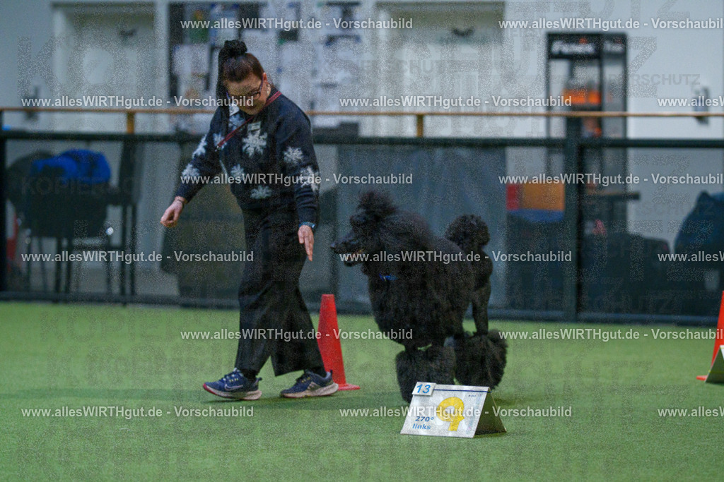 7R503448 | Professionelle Tierfotografie in Mönchengladbach von Daniel Wirth (allesWIRTHgut). Liebevolle & natürliche Bilder von Hunden & Katzen für unvergessliche Erinnerungen.