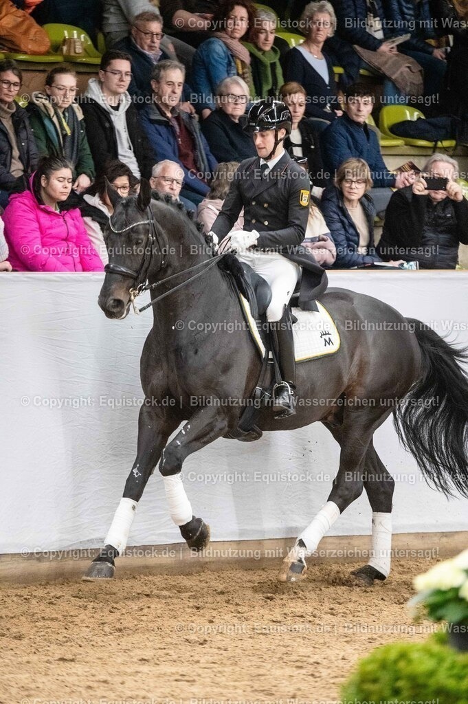 20260307_Hengstvorstellung-Marbach_0481 | equistock