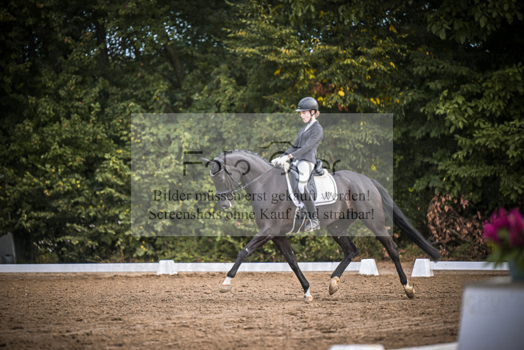 DOS_1008 | Entdecke hochwertige Reitturnierfotos von Foto Oger. Professionell, emotional und authentisch – jetzt Lieblingsmomente im Shop bestellen.Deutschlandweite Turnierfotografie. - Realisiert mit Pictrs.com