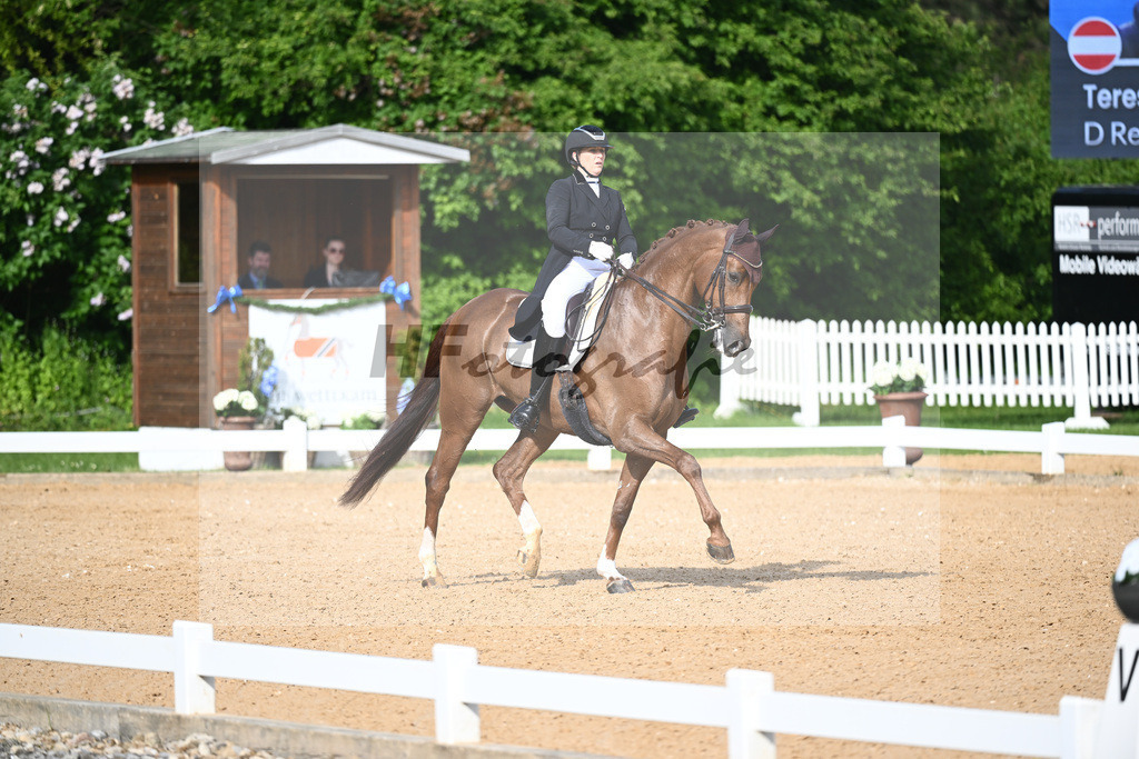 Rhomberg-Rochelt_D Rex RR_12241600 | hf-fotografie - Realisiert mit Pictrs.com