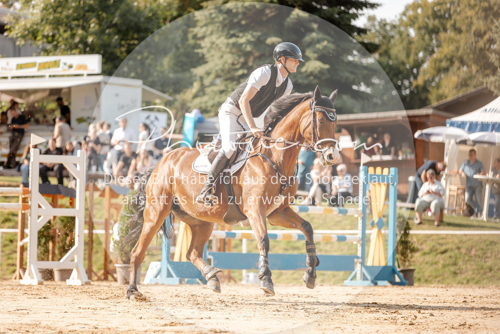 3I6A4919 | Stimmungsvolle Portraits und Reitsportfotografie im Ruhrgebiet und im Münsterland.

Pferdefotografie, Hundefotografie, Tierfotografie, Reportagen, Portraits von Tier und Mensch, Turnierfotografie in Bochum, Recklinghausen, Marl, Haltern am See, Dülmen.. - Realisiert mit Pictrs.com