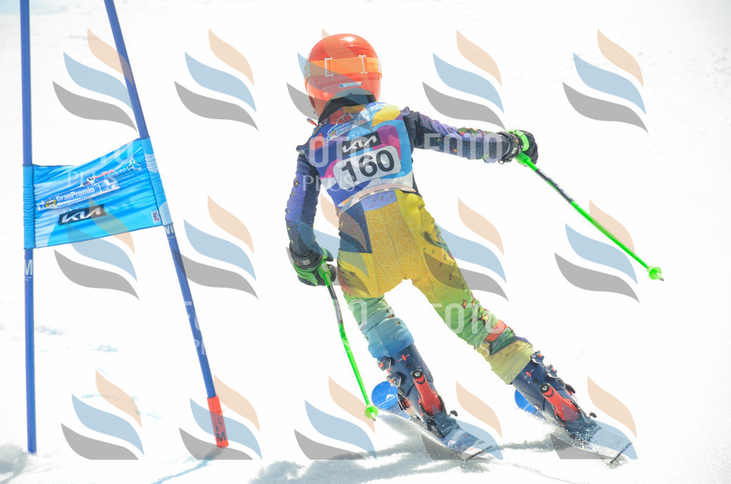 _ELE6433 | holidayphoto