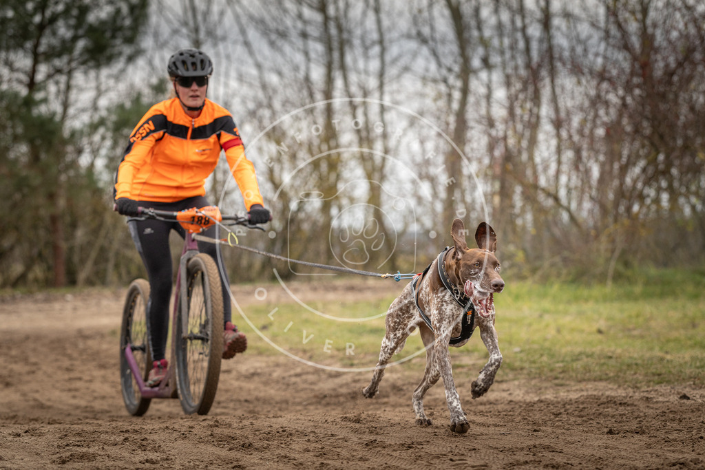 Pfotenfotografie_DV3A9876 | Hundefotografie, Tierfotograf, Pfotenfotografie, Fotoshooting Hund, Hunde Portrait, Hundesport, Hundeportraits, Heideshooting, Hunde, Sportfotograf, Hundefotograf, Turnierhundsport, THS,  - Realisiert mit Pictrs.com