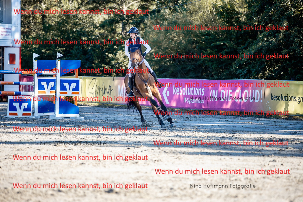 BK1A8293 | Turnierbilder Turnierfotos Nina Hüffmann Turnierfotografie Pferdefotografie Tierzeichnung Haustierzeichnung Pferdezeichnung Hundezeichnung Videograf  - Realisiert mit Pictrs.com